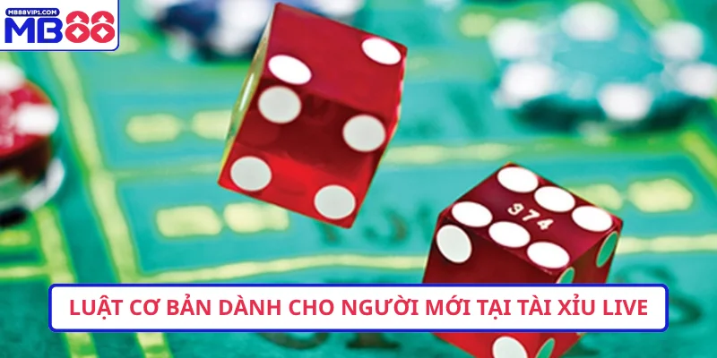 Luật cơ bản dành cho người mới tại tài xỉu live
